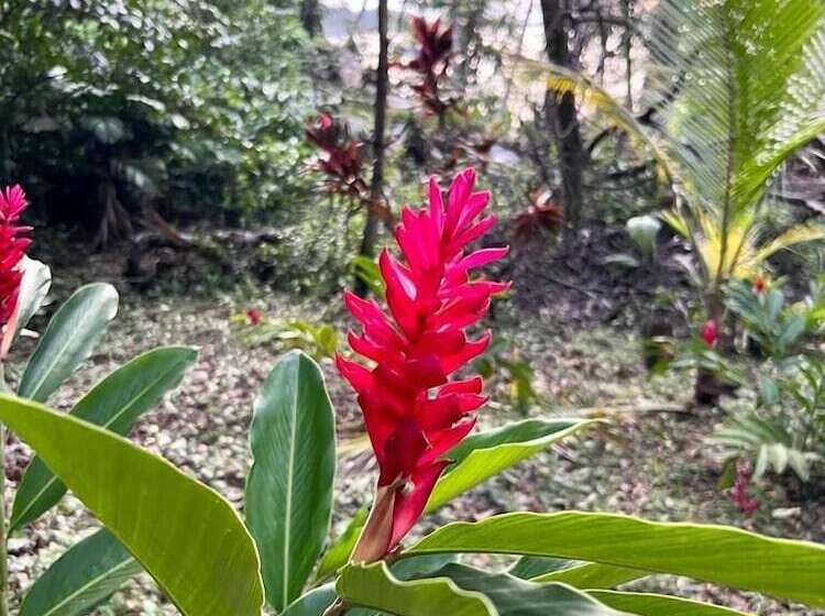 تختخواب و صبحانه Akwaba Lodge