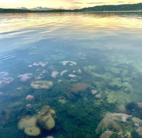 تختخواب و صبحانه Akwaba Lodge