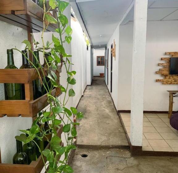 هاستل 8 Habitaciones