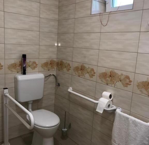 Bed and Breakfast Tó Party Apartman