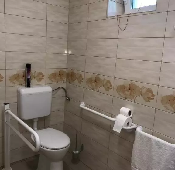 ベッドアンドブレックファースト Tó Party Apartman