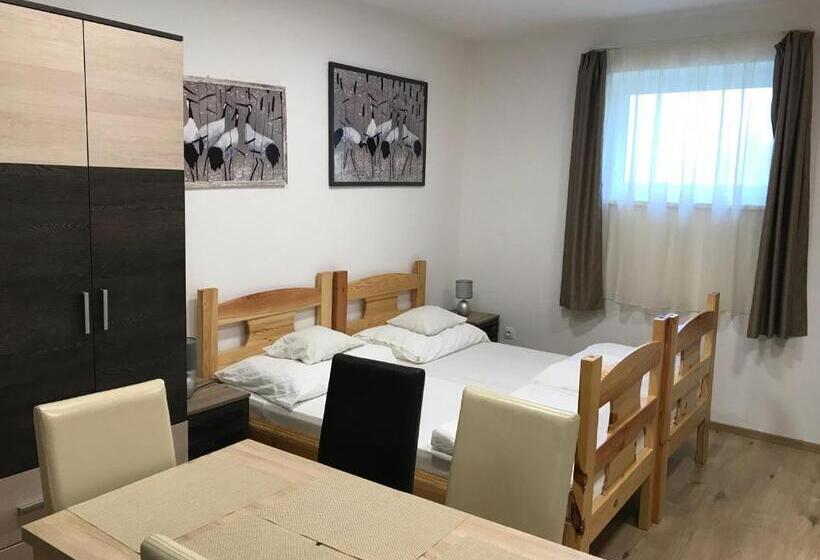 Bed and Breakfast Tó Party Apartman