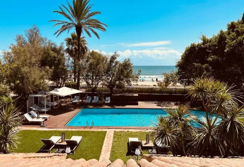 Dolce Vita B&b   Only Adults