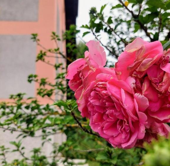 هتل R14 Green House