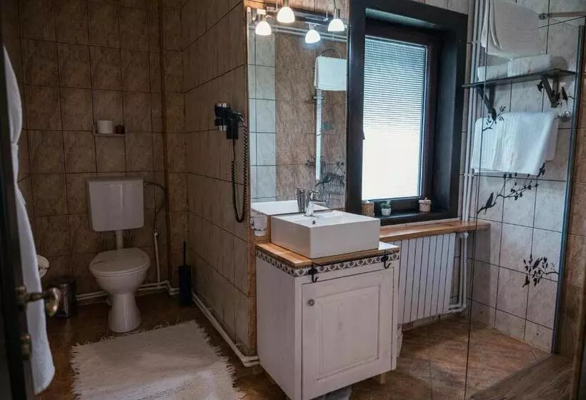 ペンション Casa Calin