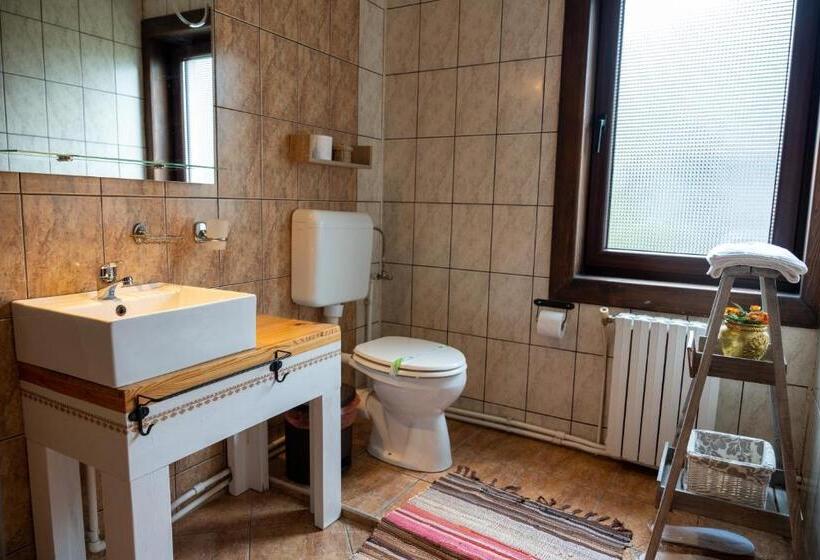 پانسیون Casa Calin