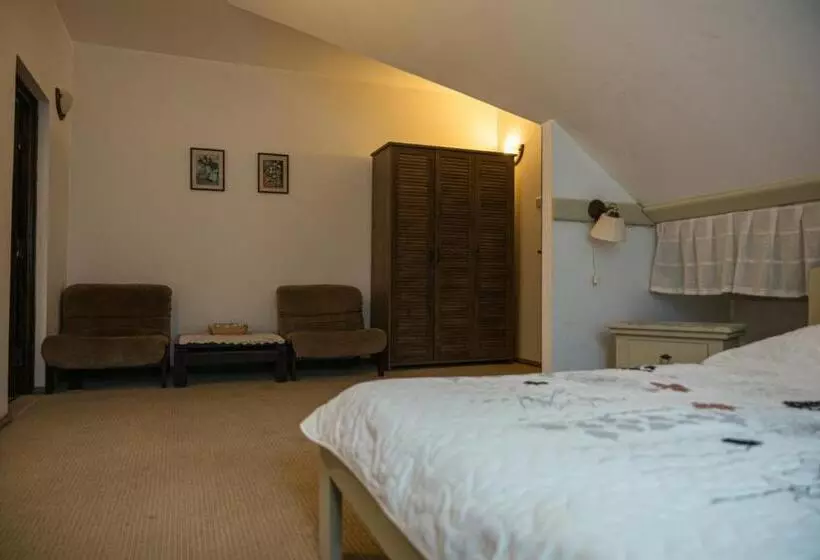 ペンション Casa Calin