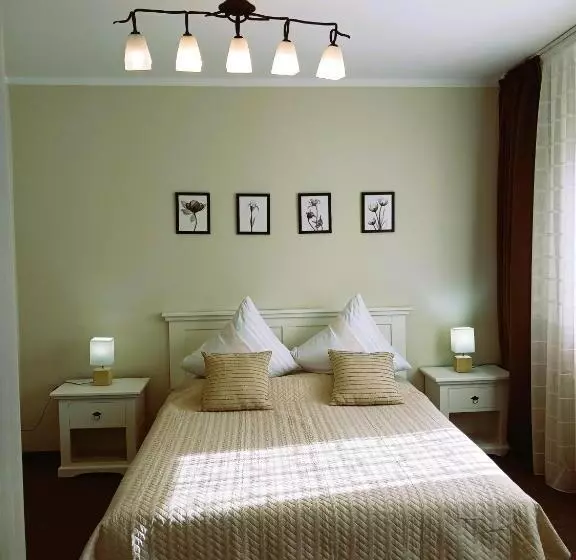 ペンション Casa Calin