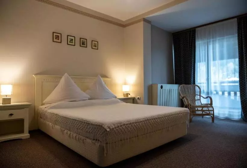 ペンション Casa Calin