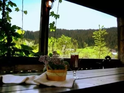 ペンション Casa Calin