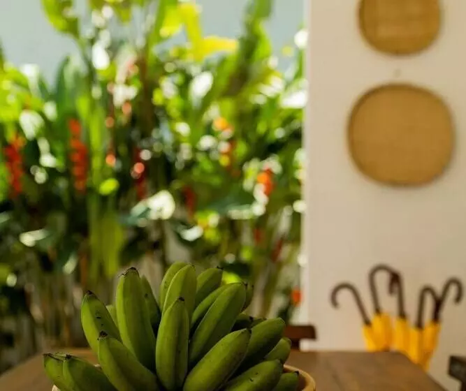 ペンション Ilhabela Studios