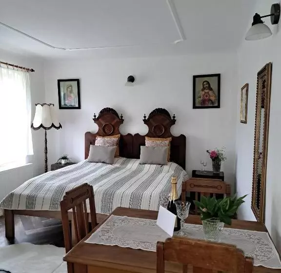 ペンション Statek 100dola