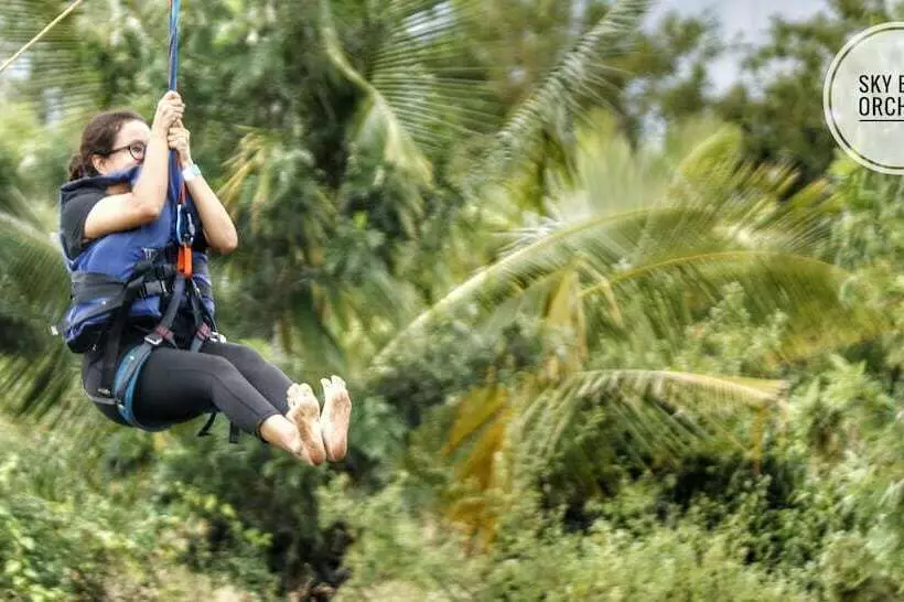 Lomakeskus Sv Sky Blue Orchids