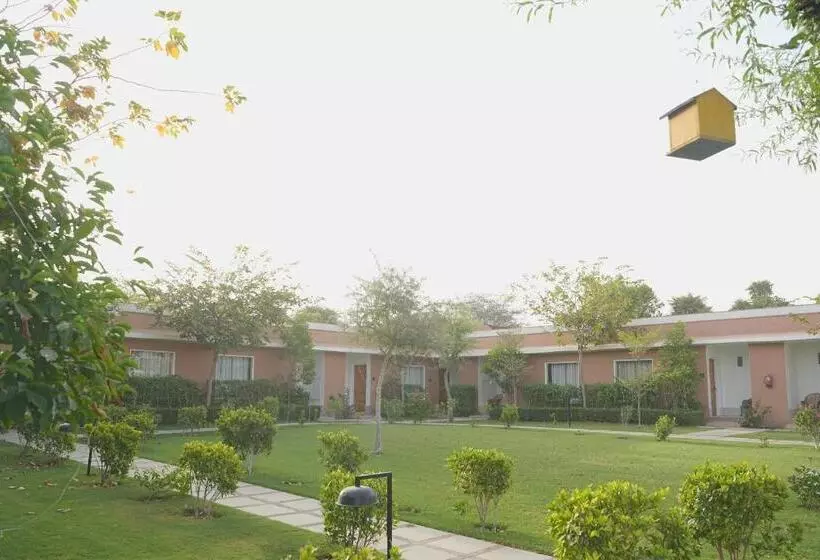 Aangan Resort