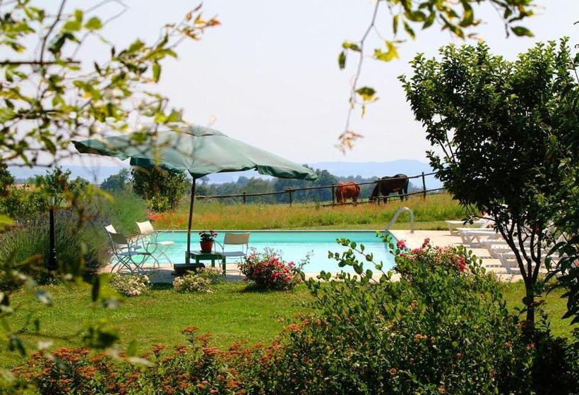 تختخواب و صبحانه Collina Blu