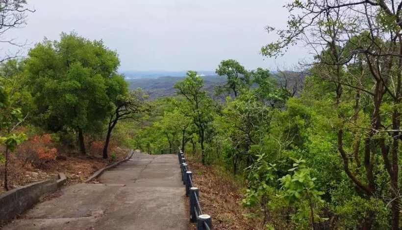 Hotelli Giriraj