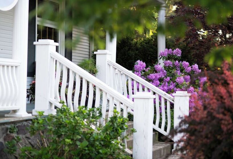 Bed and Breakfast Horizen Bnb