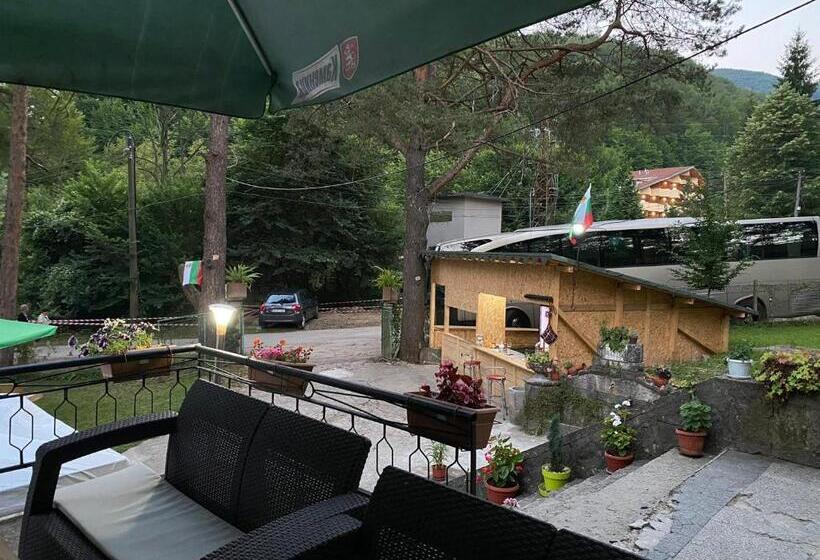 Отель вила еделвайс