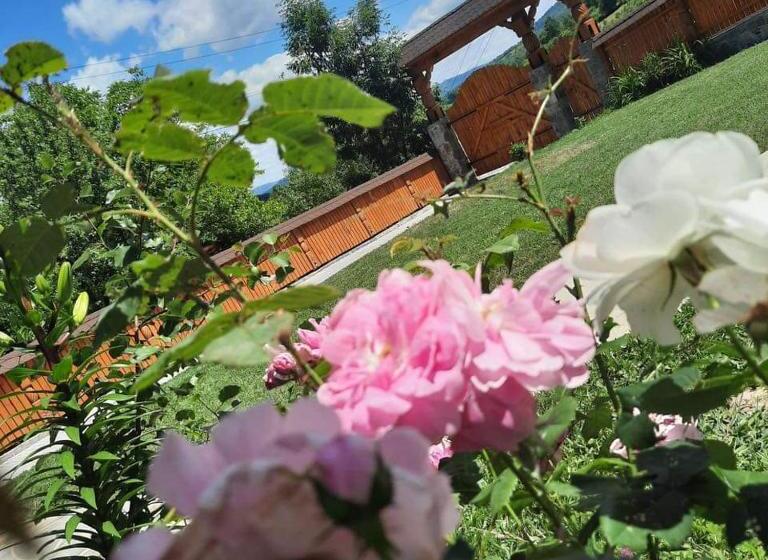 בית מלון כפרי Casa Pintioi