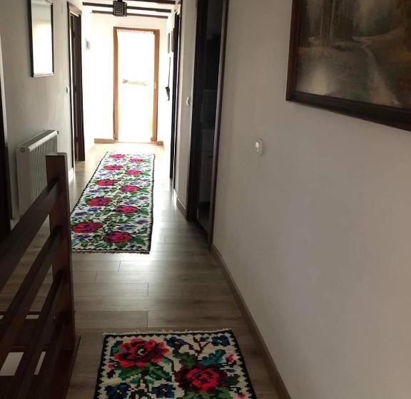 בית מלון כפרי Casa Pintioi