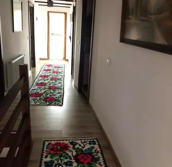 ホテル Casa Pintioi