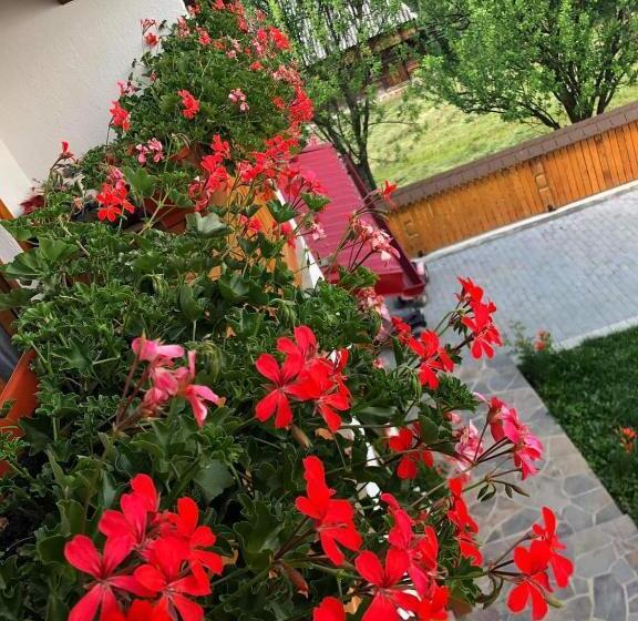 בית מלון כפרי Casa Pintioi