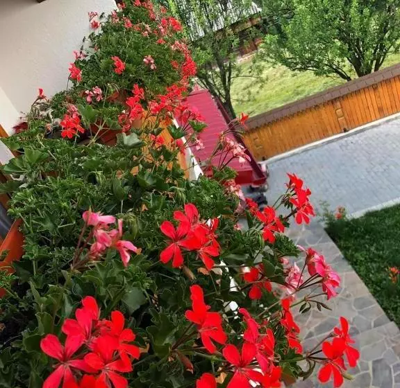ホテル Casa Pintioi