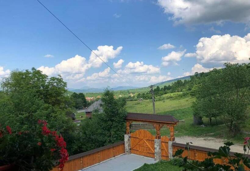 בית מלון כפרי Casa Pintioi