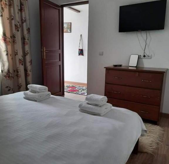 בית מלון כפרי Casa Pintioi