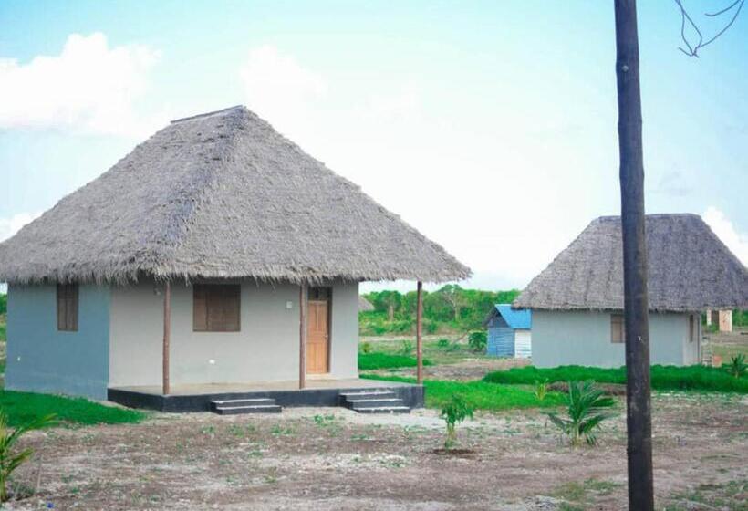 פנסיון Mfumbwi Coast Village