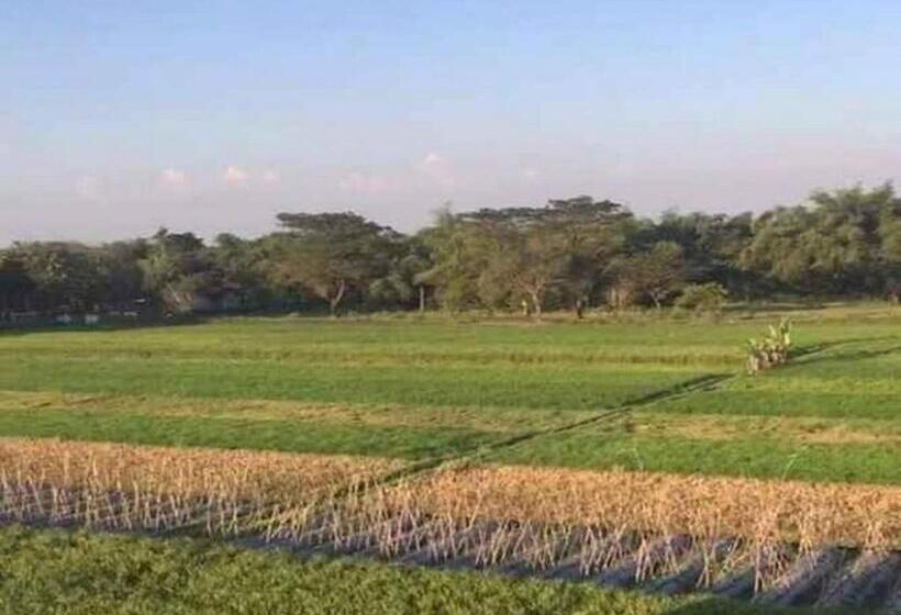 ホテル D Sawah Guesthouse Klaten Near Danau Rawa Jombor