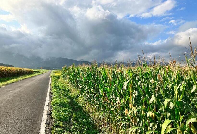 酒店 Nasushiobara Masudaya