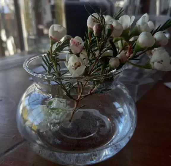 ホテル Ing At Sandstone