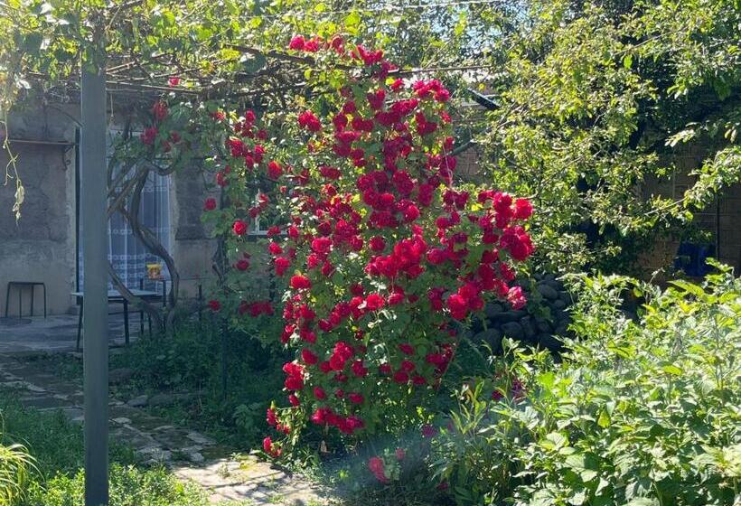 پانسیون Papoyan Guest House