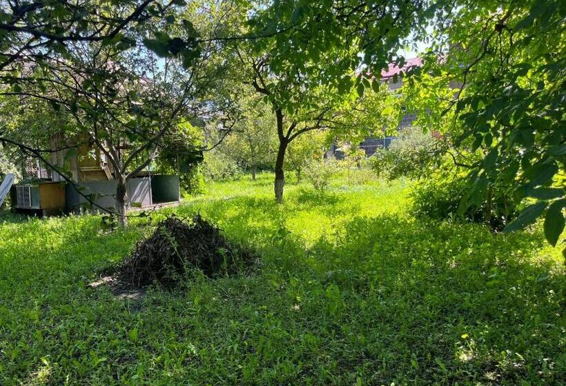 پانسیون Papoyan Guest House