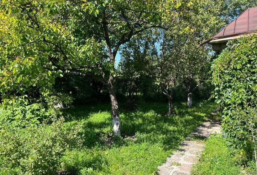 پانسیون Papoyan Guest House