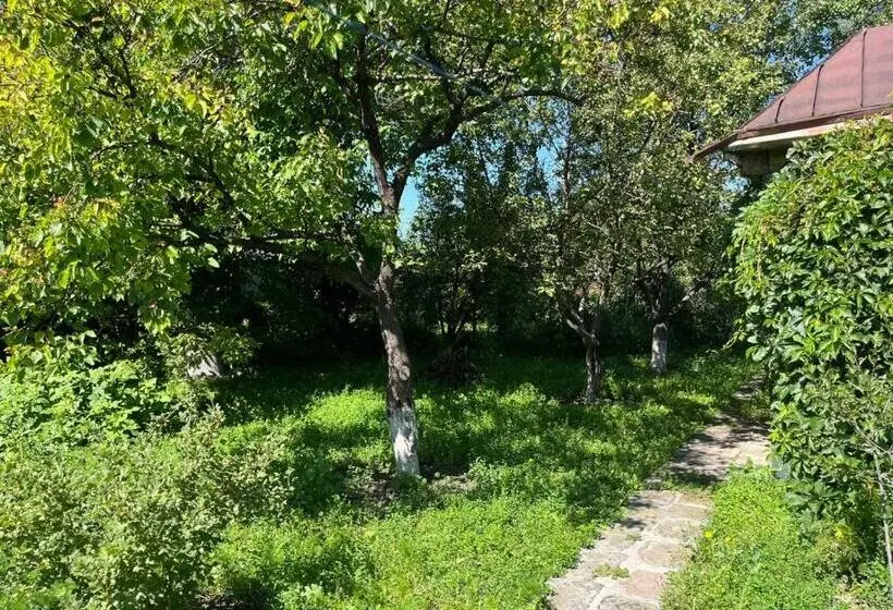 پانسیون Papoyan Guest House