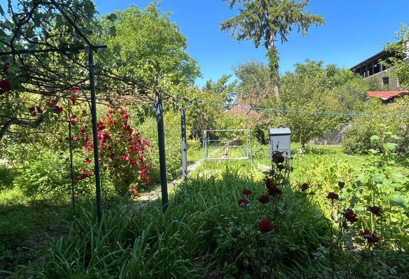 پانسیون Papoyan Guest House