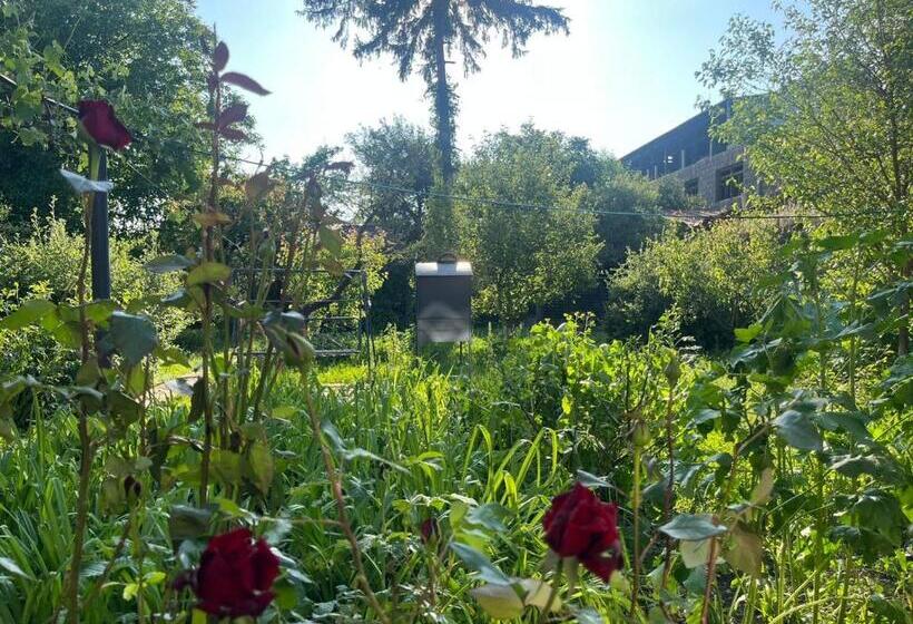 پانسیون Papoyan Guest House