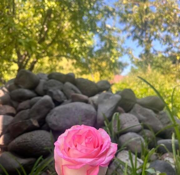 پانسیون Papoyan Guest House