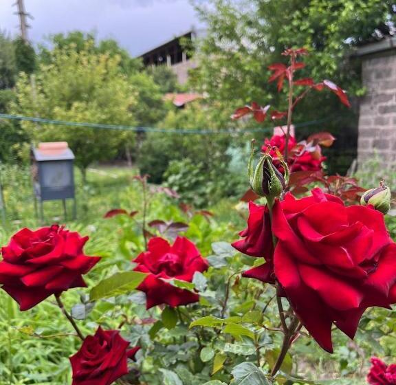 پانسیون Papoyan Guest House