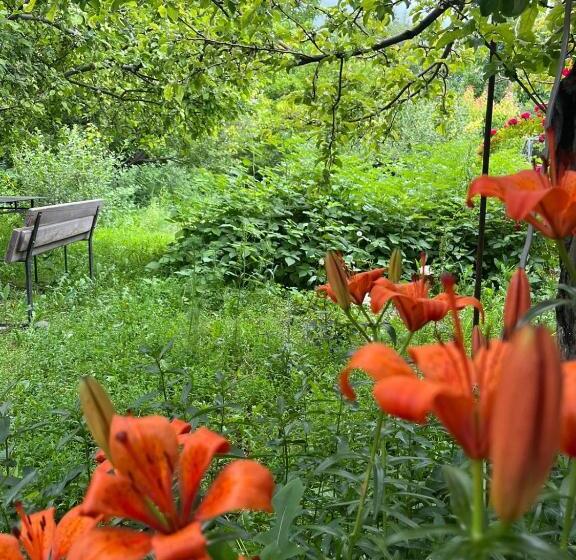 پانسیون Papoyan Guest House