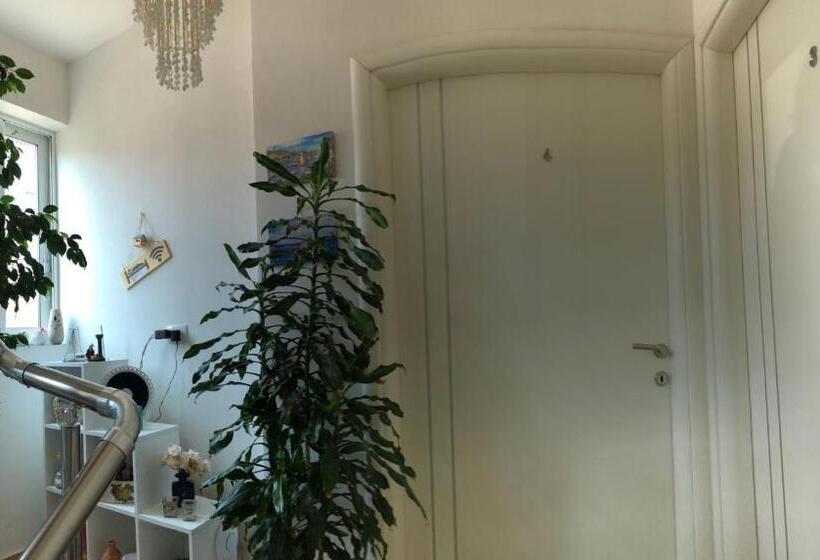 پانسیون Villa Xhelili