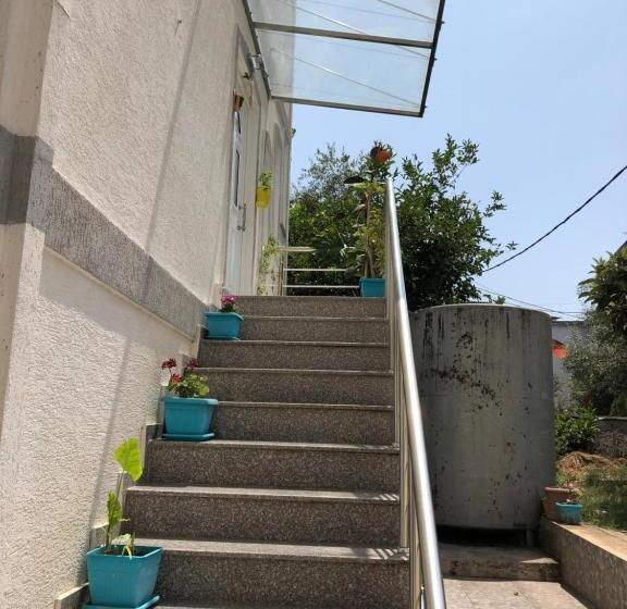 پانسیون Villa Xhelili