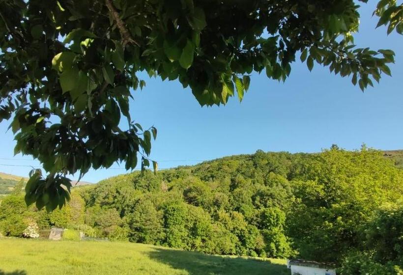 簡易ホテル Casa David