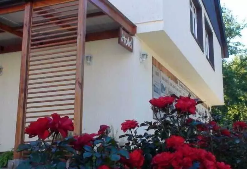 Hotel Baviera