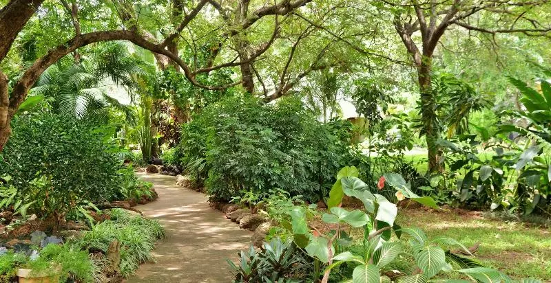 هتل Bayete Guest Lodge