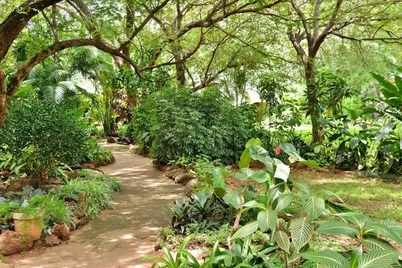 هتل Bayete Guest Lodge