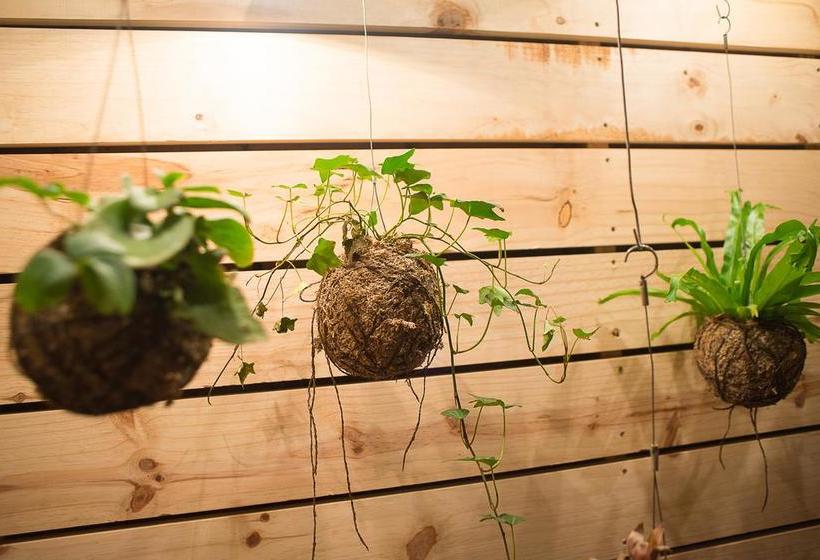 Brahman Hills   Gardens, Hotel & Cottages