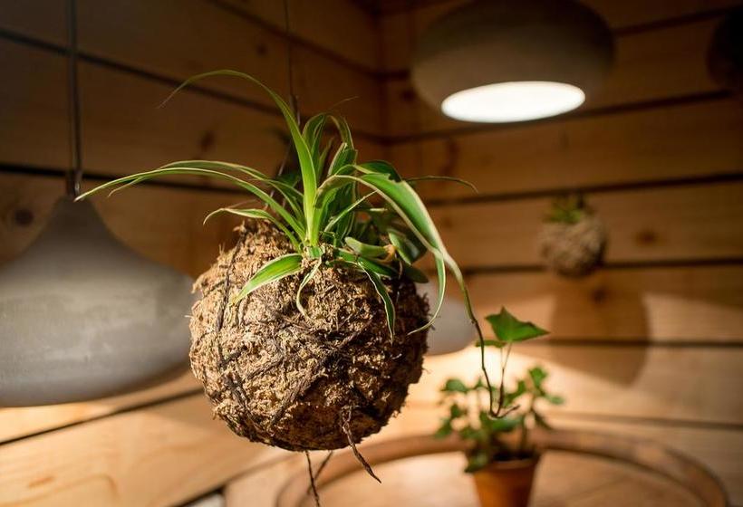 Brahman Hills   Gardens, Hotel & Cottages